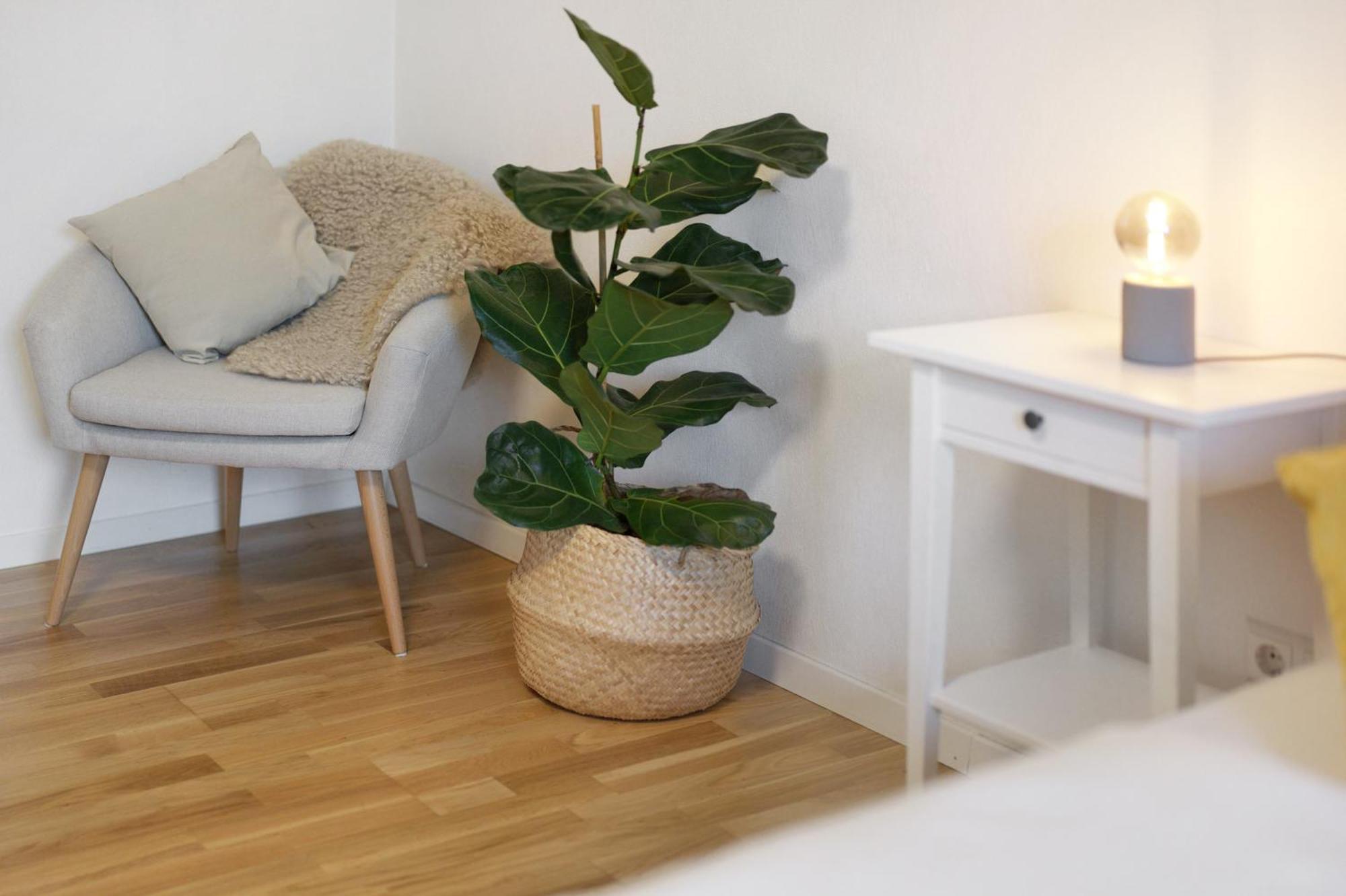 Ferienwohnung Obsthof Fiess Oberkirch  Extérieur photo